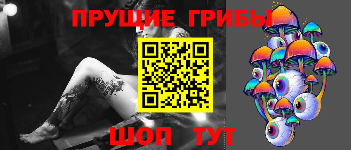 Галлюциногенные грибы прущие грибы  Вход с VPN  Белгород 